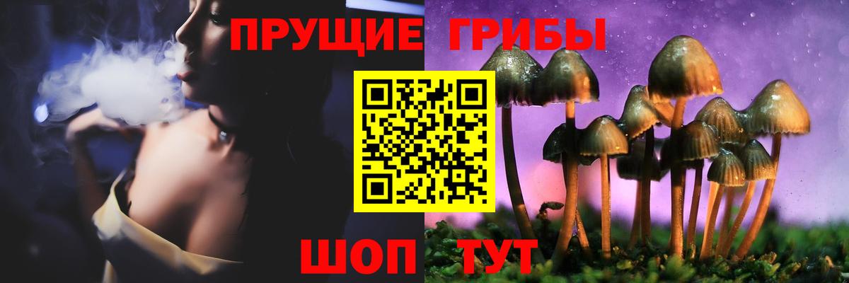 Галлюциногенные грибы MAGIC MUSHROOMS  где купить   Батайск  Вход с VPN 